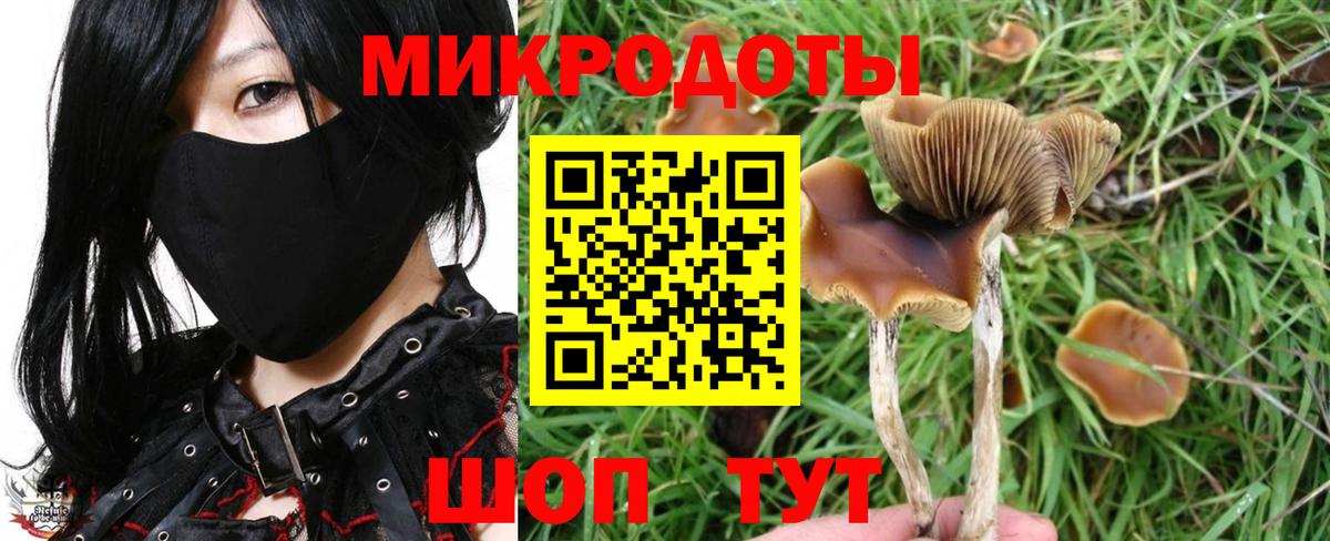 Корсаков  Псилоцибиновые грибы Psilocybine cubensis  Псилоцибиновые грибы прущие грибы  Вход с VPN 