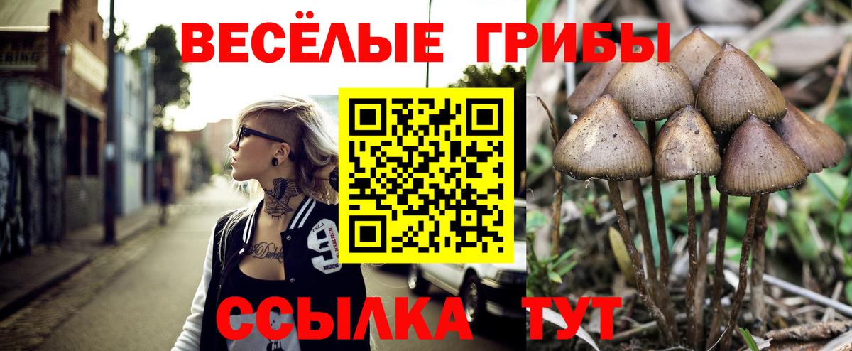 Галлюциногенные грибы прущие грибы Корсаков